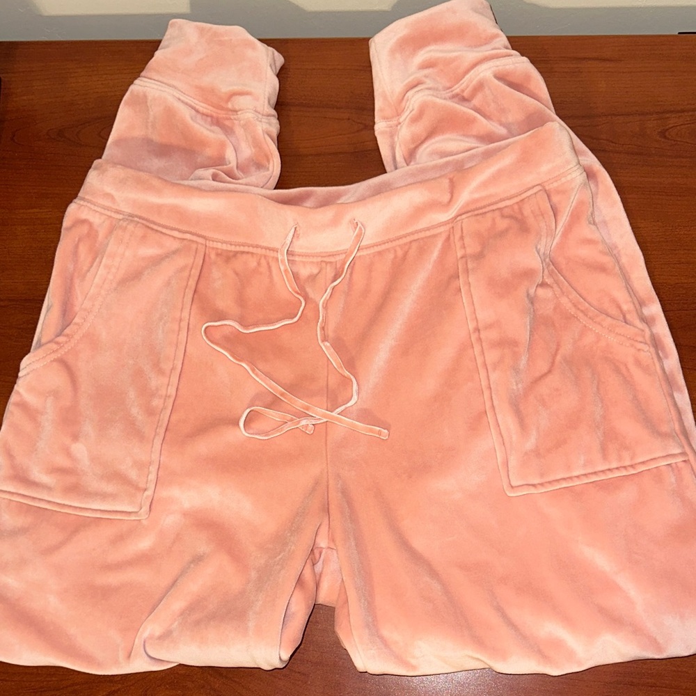 NWOT Velvet Pants
